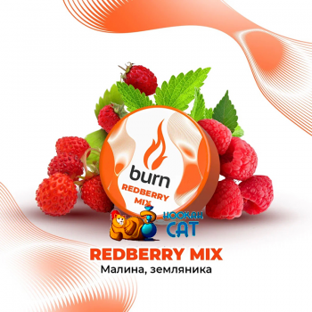 Заказать кальянный табак Burn Redberry Mix (Малина Земляника) 25г онлайн с доставкой всей России